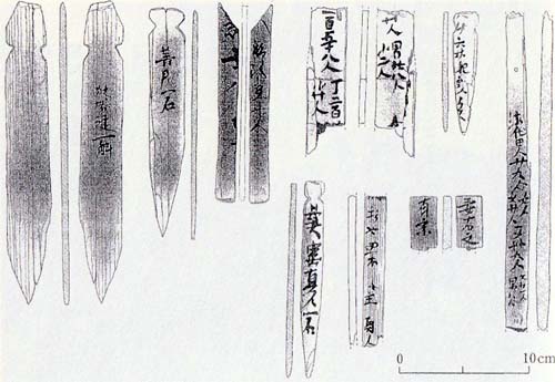 村山・最上と庄内の歴史