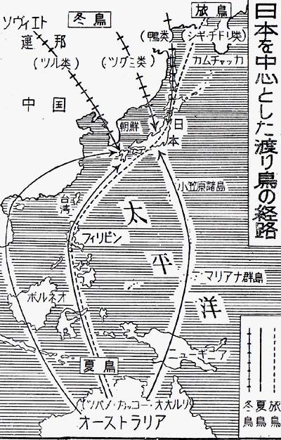 日本の鳥と獣